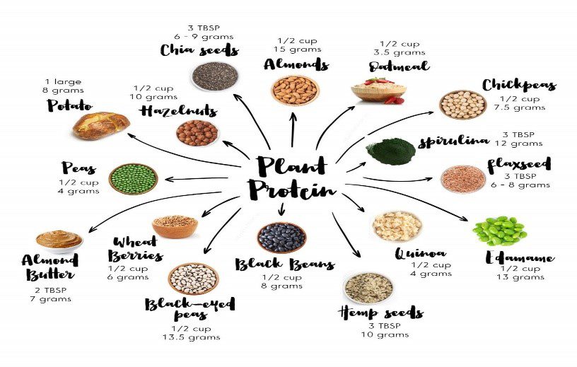 COMPLETING YOUR PLANT PROTEINS - Ironwood Cancer & Research Centers