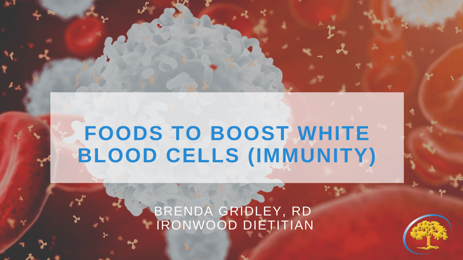 foods-that-boost-the-number-of-white-blood-cells-in-huma-n-body