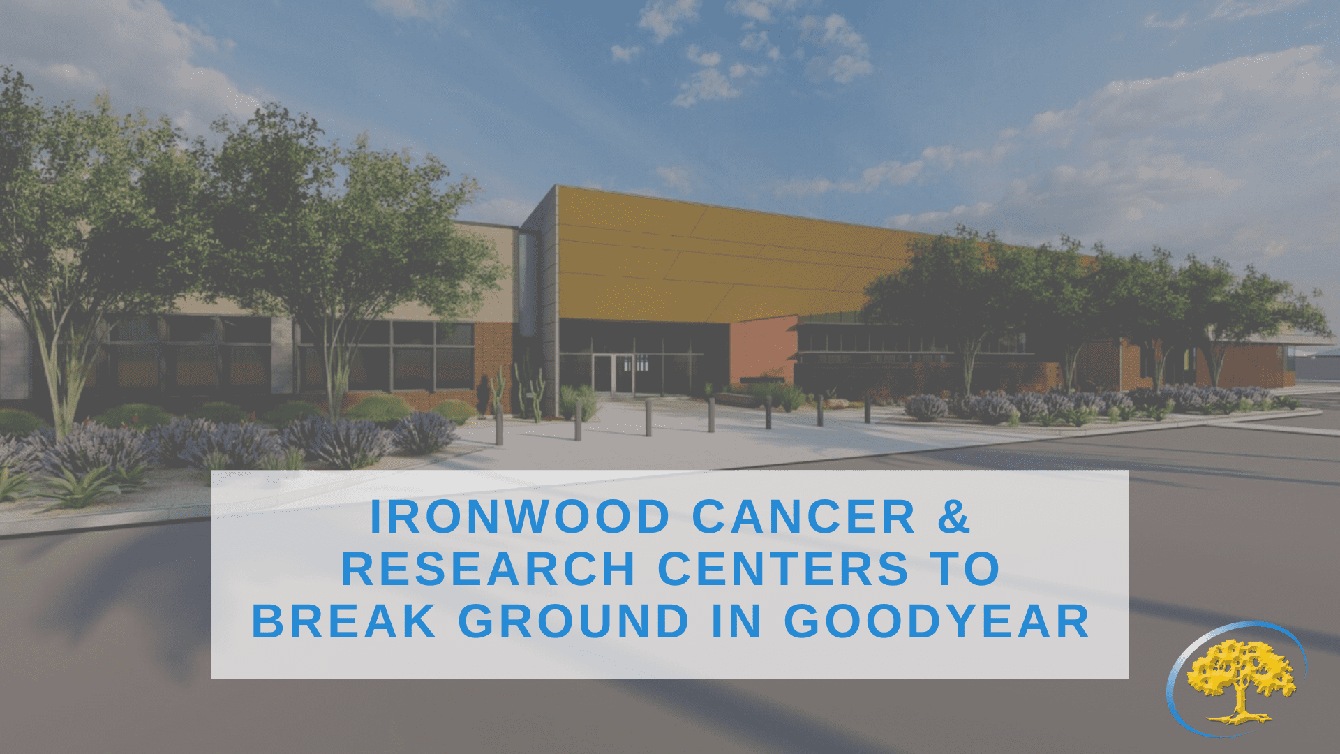 EGGS ARE A POWERHOUSE… HERE'S WHY! - Ironwood Cancer & Research Centers